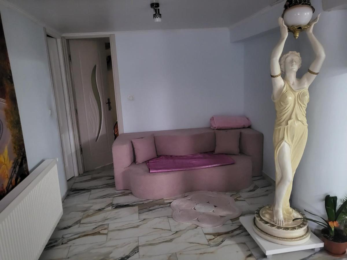 Apartament Cu Terasa Si Gratar Appartement Satu Mare Buitenkant foto
